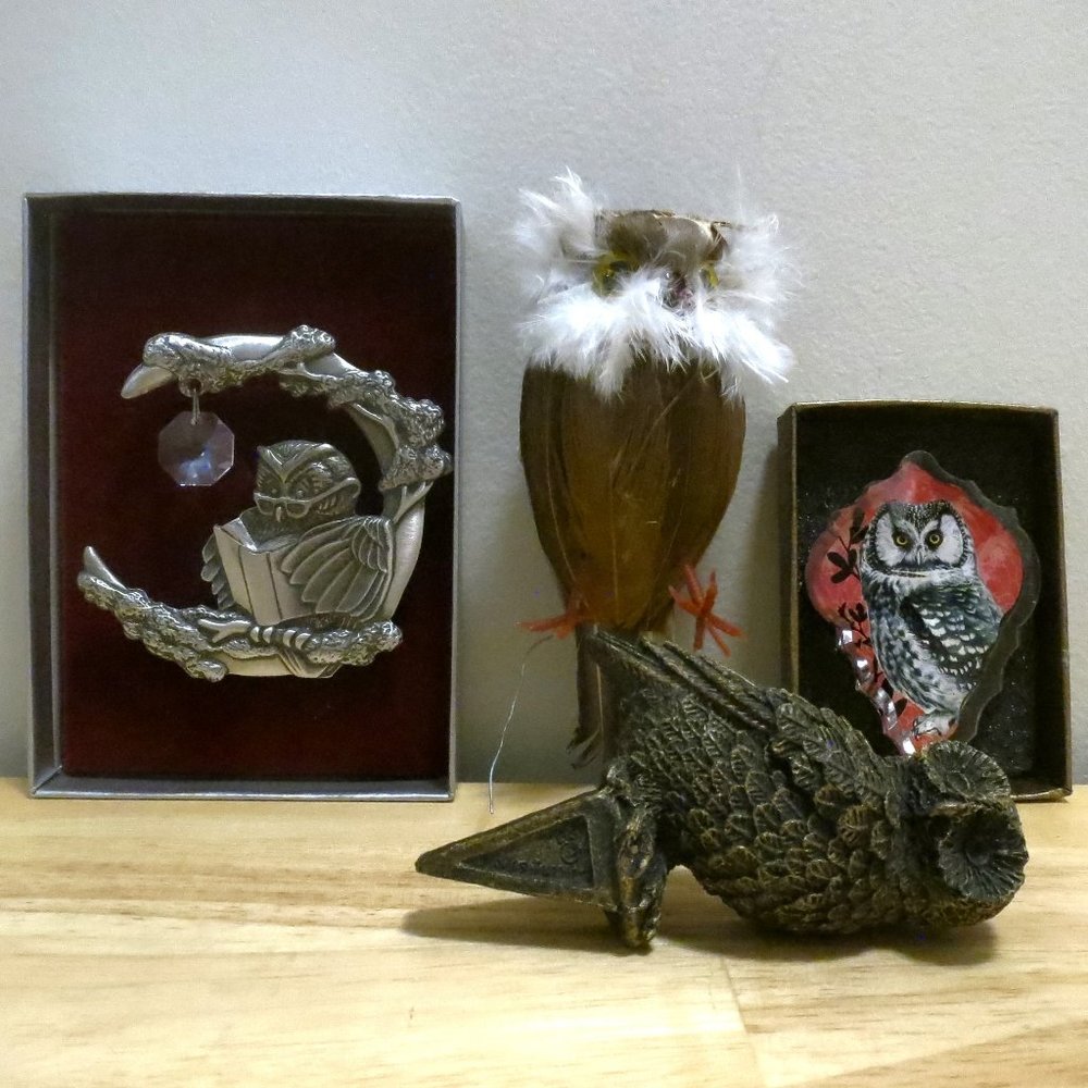 Owl Collection Fridge Magnet Suncatcher Planter Spike and Feather Owl
